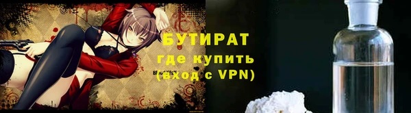 индика Арсеньев