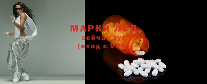 индика Арсеньев