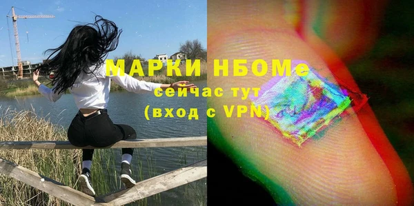 индика Арсеньев