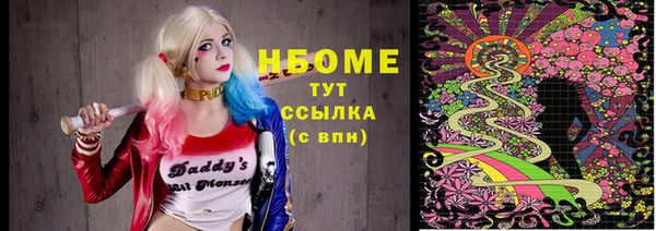 индика Арсеньев