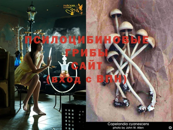 каннабис Аркадак