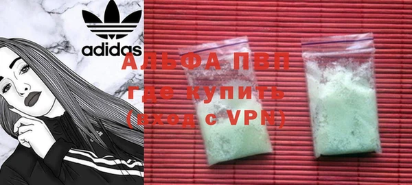 индика Арсеньев