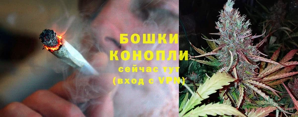 индика Нефтегорск