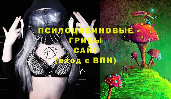 индика Арсеньев