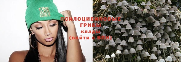 индика Арсеньев