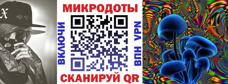 Галлюциногенные грибы Psilocybe  Асбест 
